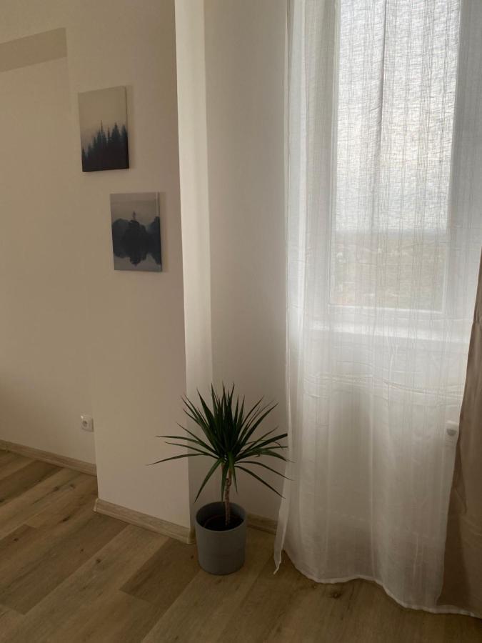 Apartmany Kladno - Libusin Kültér fotó