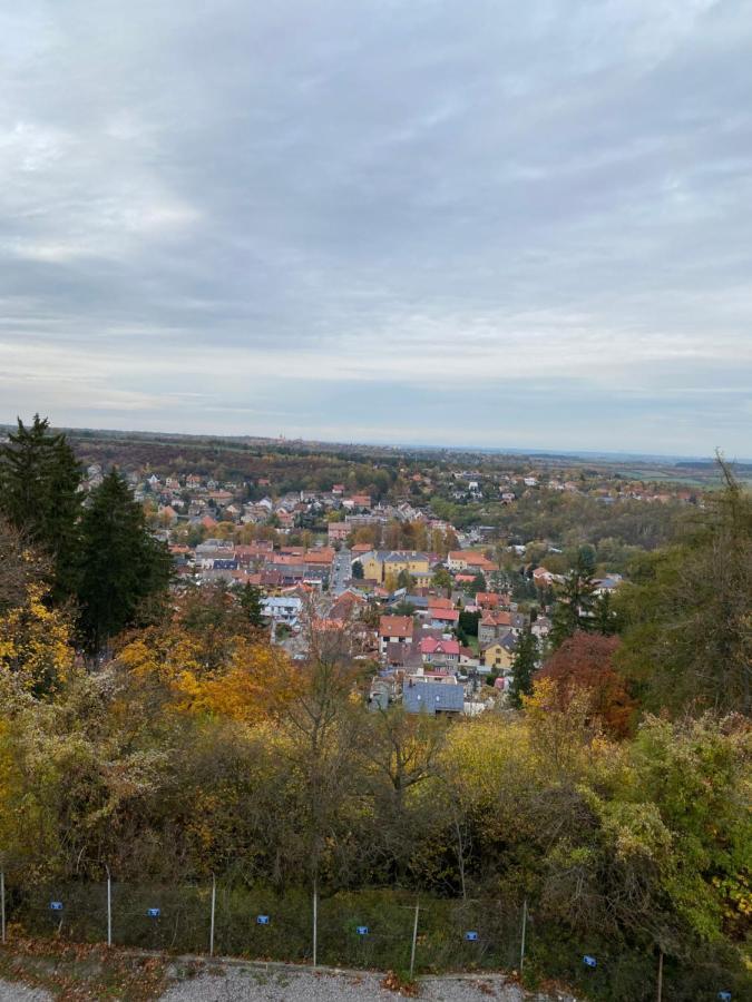 Apartmany Kladno - Libusin Kültér fotó